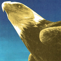 ventotto2.png