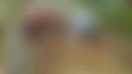 Il a réuni ses parents séparés.