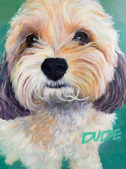 Portrait of a doodle looking up
