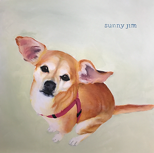 58033586111__5AA6F122-820A-4B96-ADC9-910