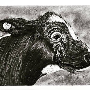 Animal Rights Themed