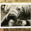 Thumbnail: Manatee, Original Charcoal Drawing