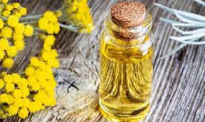 macerat od smilja u maslinovu ulju