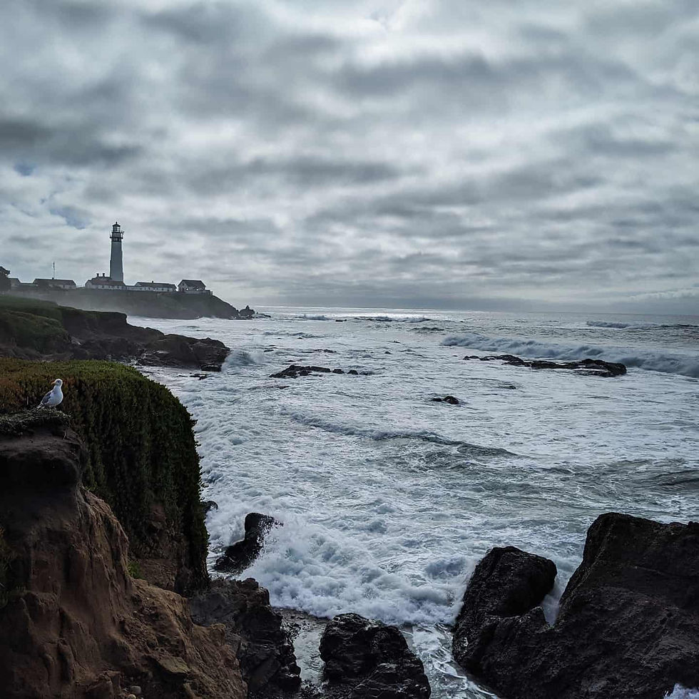 Pigeon Point Pier