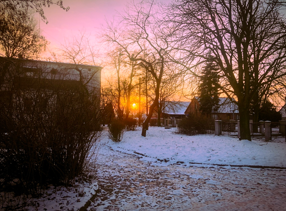 IMG_2023.PNG