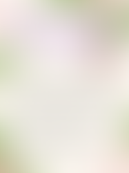 Einladung zur Mitgliederversammlung 2026