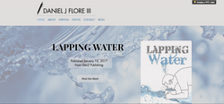 Daniel J. Flore Website