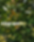 Copie de VALEURS STUDIO TRAIL (3).png
