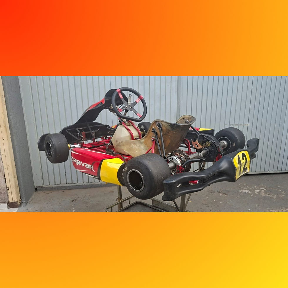 Miniatura: Kart Bravar R31 2024