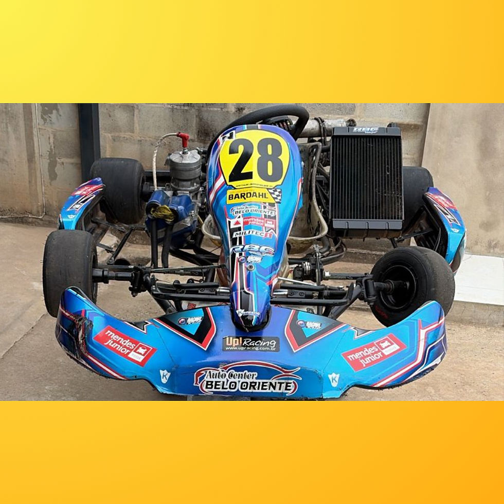 Miniatura: Kart Mini S2 2017 com Motor KTT KT9 + Alfano LV