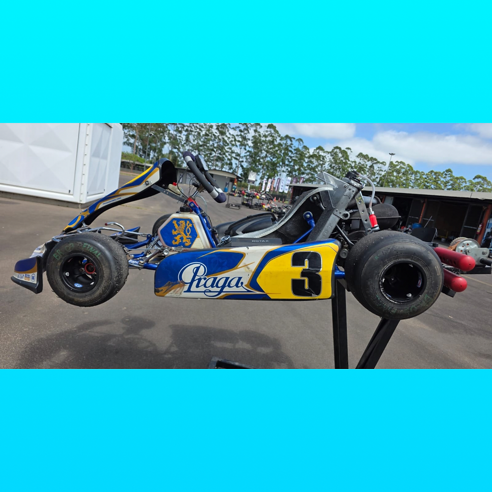 Miniatura: Kart Praga Dragon Evo DD2 2019 com Motor Rotax DD2 Evo