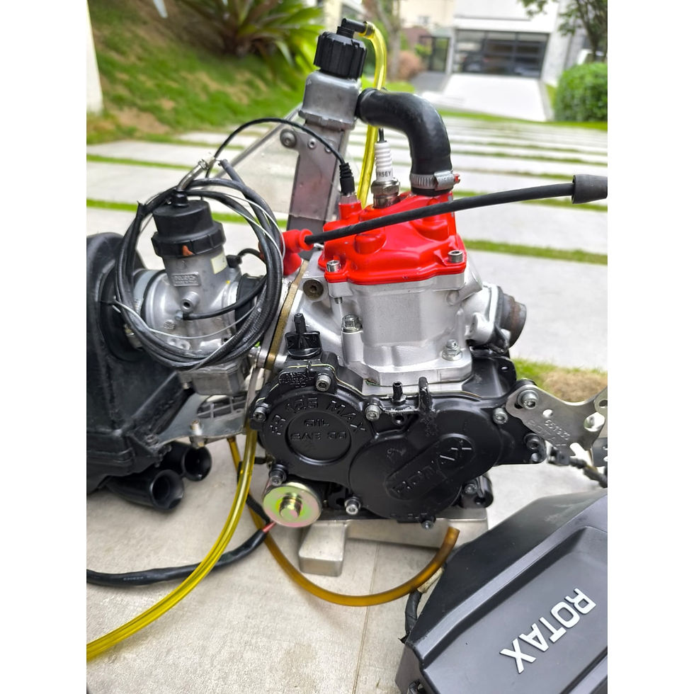 Miniatura: Motor Rotax Júnior Max Evo