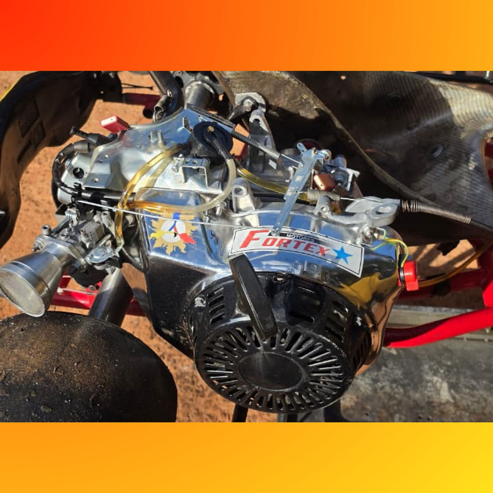 Miniatura: Kart Bravar R31 2023 com Motor Fortex G6 33HP