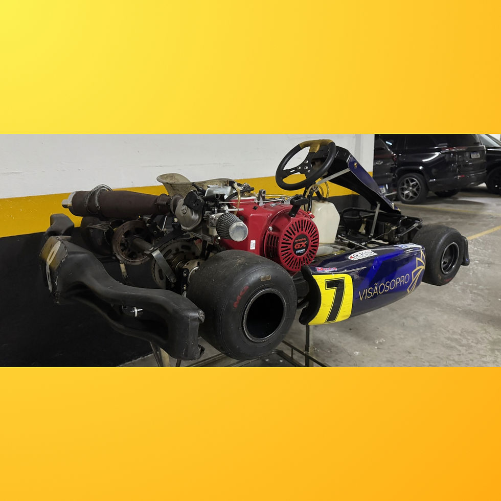 Miniatura: Kart Mini S2 2017 com Motor Honda 18HP RBC