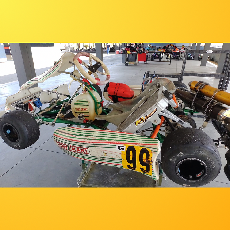 Miniatura: Kart Tony 2018 com Motor IAME MY10 RBC Revisado