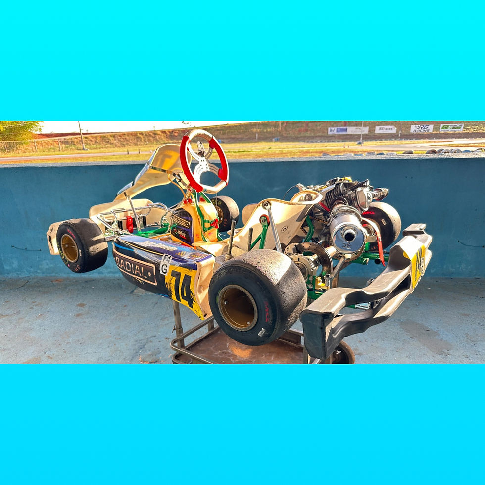 Miniatura: Kart Tony SF4 2025 com Motor Honda 18HP RBC