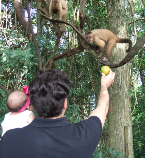 Lucas de Moraes.gif