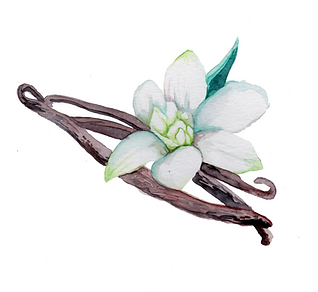 Screenshot 2023-05-22 at 10.33.44 AM.png