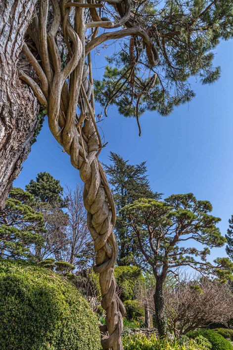 Bruno Bérenguer Photographie