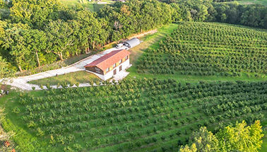 NoKa, production de noisettes, Urrugne (64)