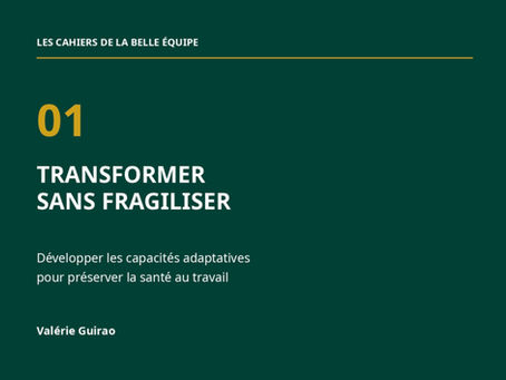 TRANSFORMER SANS FRAGILISER