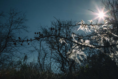 Bruno Bérenguer Photographie
