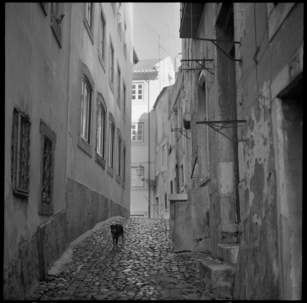 Lisboa, 2011