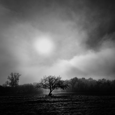 Bruno Bérenguer Photographie