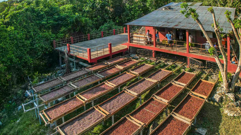 NoKa, production de fèves de cacao à Madagascar