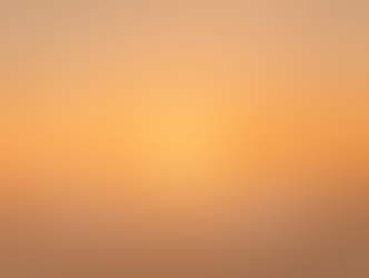 The Extraordinary Ordinary