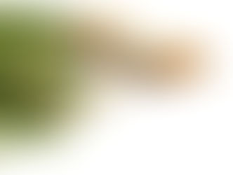 Passion Week Scripture Reading