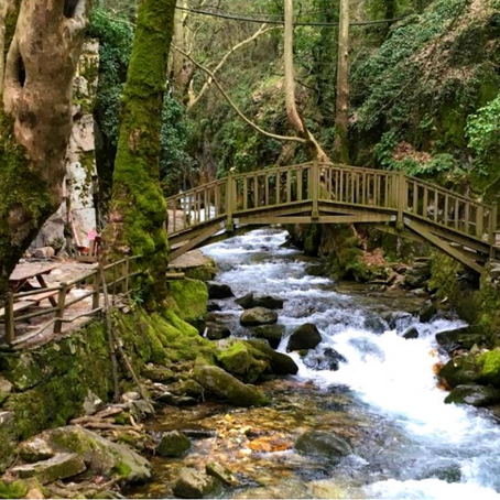 Pazar Molası: Ayazma Pınarı Tabiat Parkı