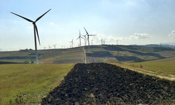 2014-08-31 10.46.57.jpg