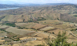 2014-08-31 12.17.46.jpg