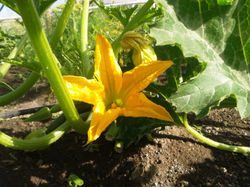 2015-05-28 08.57.38.jpg