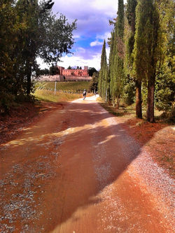 2013-10-06 14.29.07.jpg