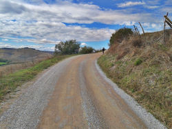 2013-10-06 12.35.55.jpg