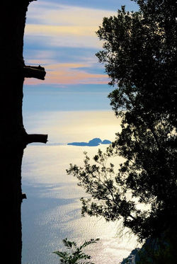 12190058_1512293325758782_8385581885266129114_n