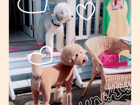 可愛いお店♡🐶