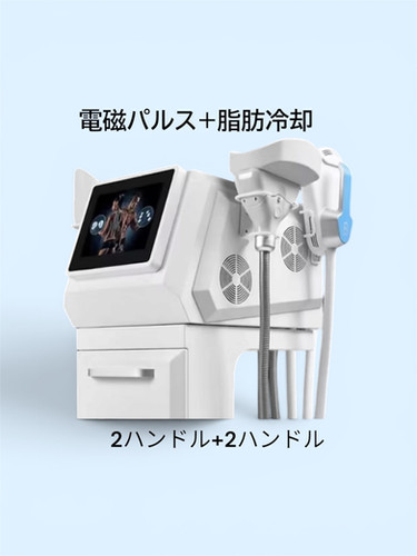 3本同時稼働　脂肪冷却マシン 3ヘッド脂肪冷却マシン 日本語取説 付部分痩せダイエット [中古] 3