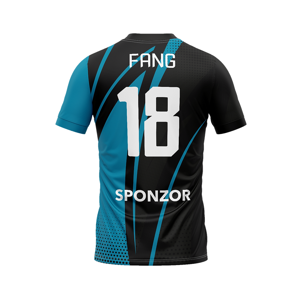 Miniatura: Dres FANG