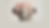 Untitled design (23).png