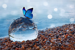AdobeStock_283871916.jpeg