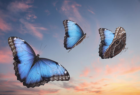 AdobeStock_374500264.jpeg