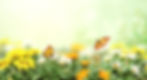 AdobeStock_397734519.jpeg