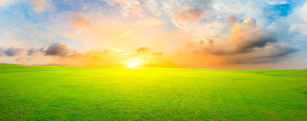AdobeStock_330647005.jpeg