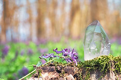 AdobeStock_264367751.jpeg