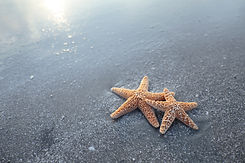AdobeStock_132184063.jpeg