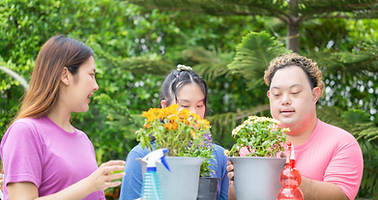 Community garden therapy - Community Gallery | Tribe Alive Port Kembla NSW