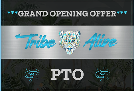 Grand opening offer - Tribe Alive - Inclusive Community Programs in Port Kembla NSW